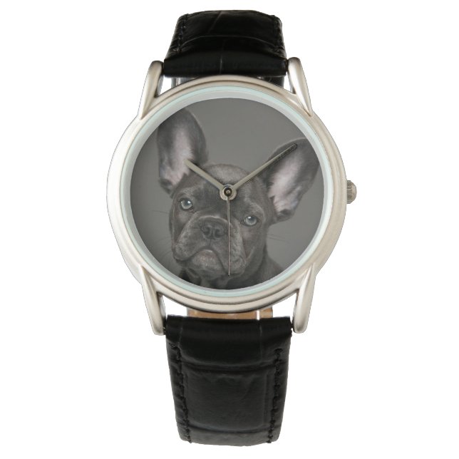 Cutest Baby Animals | French Bulldog Watch (Front)