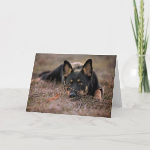 Cutest Baby Animals   German Shepherd Puppy Card