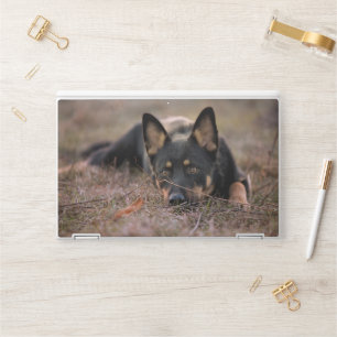 Cutest Baby Animals German Shepherd Puppy HP Laptop Skin