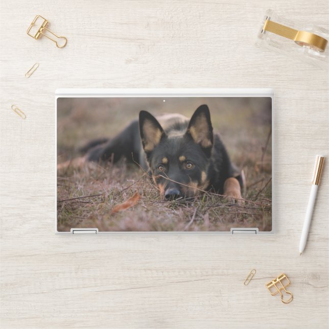 Cutest Baby Animals | German Shepherd Puppy HP Laptop Skin (Desk)