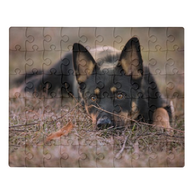 Cutest Baby Animals | German Shepherd Puppy Jigsaw Puzzle (Puzzle Horizontal)