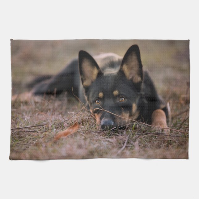 Cutest Baby Animals | German Shepherd Puppy Kitchen Towel (Horizontal)