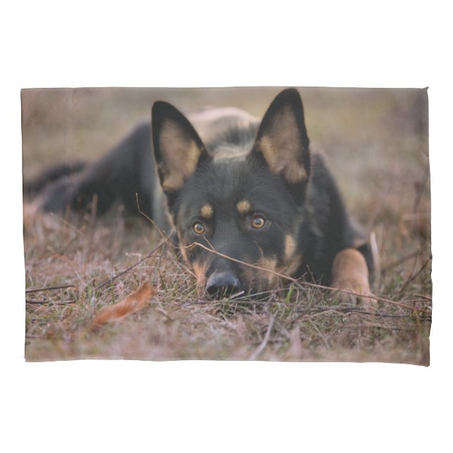 Cutest Baby Animals | German Shepherd Puppy Pillow Case (Front)