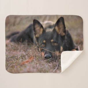 Cutest Baby Animals   German Shepherd Puppy Sherpa Blanket