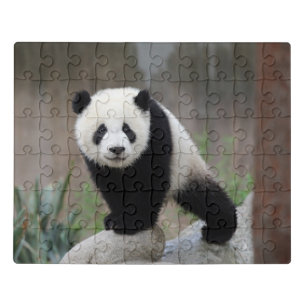 Cutest Baby Animals Giant Panda Baby Jigsaw Puzzle