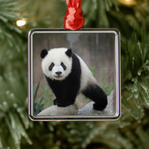 Cutest Baby Animals Giant Panda Baby Metal Ornament