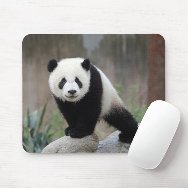 Cutest Baby Animals | Giant Panda Baby Mouse Pad (With Mouse)