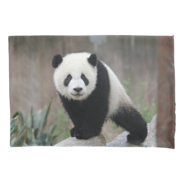 Cutest Baby Animals | Giant Panda Baby Pillow Case (Front)