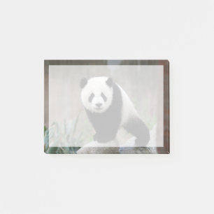 Cutest Baby Animals Giant Panda Baby Post-it Notes