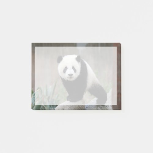 Cutest Baby Animals  Giant Panda Baby Post_it Notes