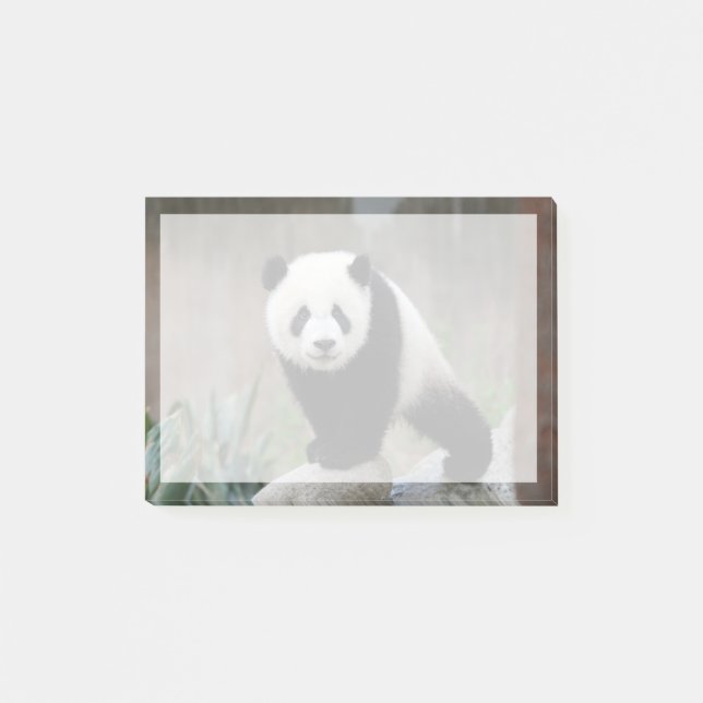 Cutest Baby Animals | Giant Panda Baby Post-it Notes (Front)