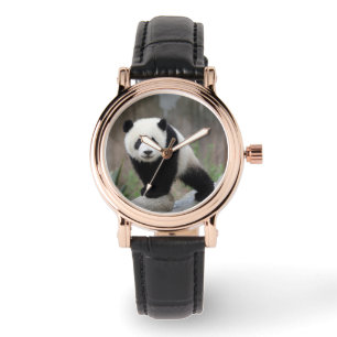 Cutest Baby Animals Giant Panda Baby Watch