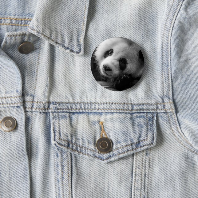 Cutest Baby Animals | Giant Panda Bear Cub Button (In Situ)