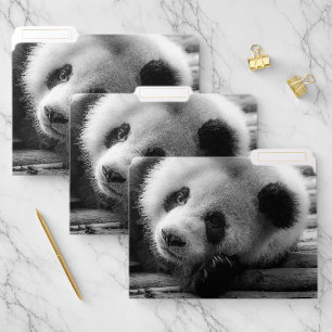 Cutest Baby Animals Giant Panda Bear Cub File Folder