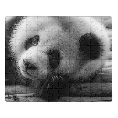 Cutest Baby Animals  Giant Panda Bear Cub Jigsaw Puzzle