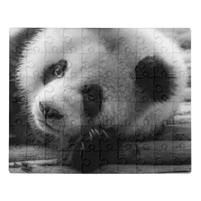 Cutest Baby Animals | Giant Panda Bear Cub Jigsaw Puzzle (Puzzle Horizontal)
