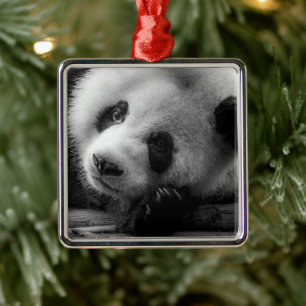 Cutest Baby Animals Giant Panda Bear Cub Metal Ornament