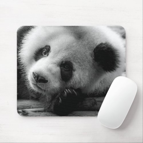 Cutest Baby Animals  Giant Panda Bear Cub Mouse Pad