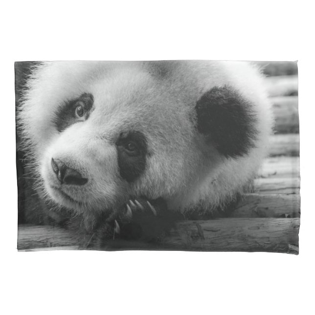 Cutest Baby Animals | Giant Panda Bear Cub Pillow Case (Front)