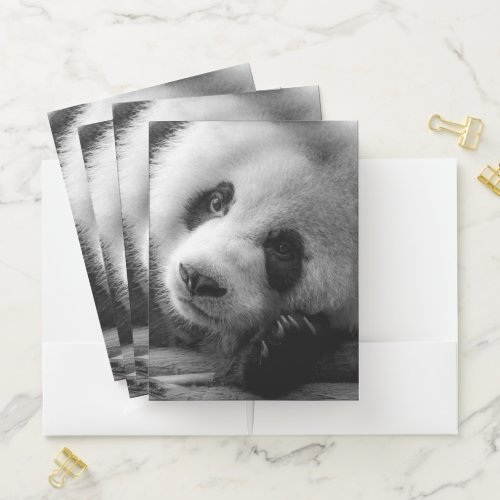 Cutest Baby Animals  Giant Panda Bear Cub Pocket Folder