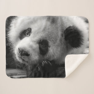 Cutest Baby Animals Giant Panda Bear Cub Sherpa Blanket