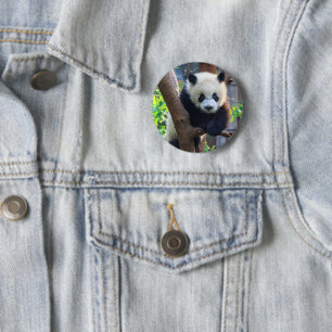 Cutest Baby Animals Giant Panda Cub Button