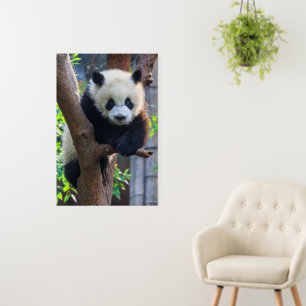 Cutest Baby Animals Giant Panda Cub Foam Board