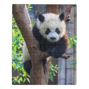 Cutest Baby Animals   Giant Panda Cub Jigsaw Puzzle