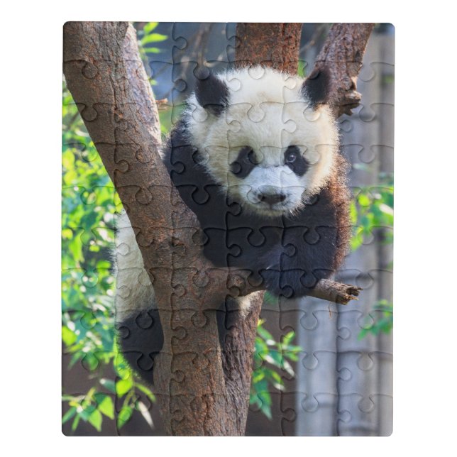 Cutest Baby Animals | Giant Panda Cub Jigsaw Puzzle (Puzzle Vertical)