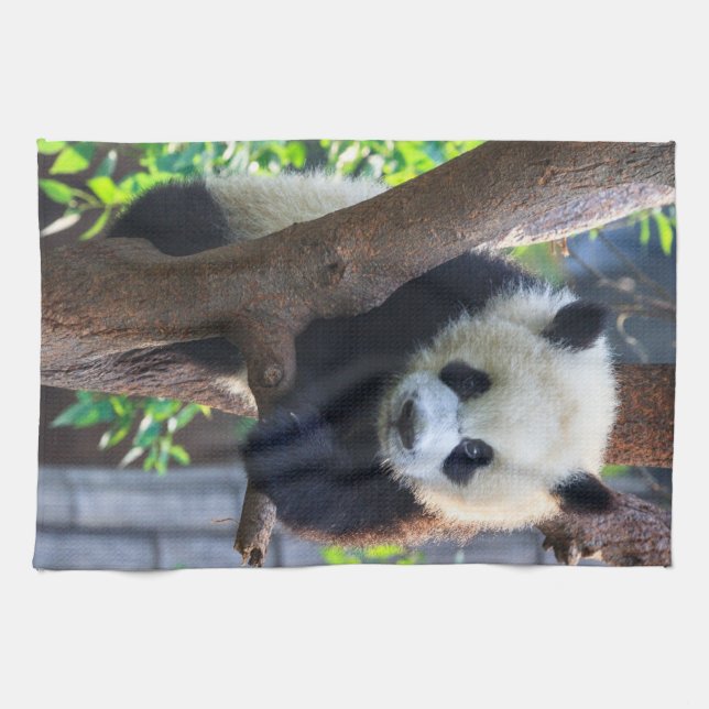 Cutest Baby Animals | Giant Panda Cub Kitchen Towel (Horizontal)