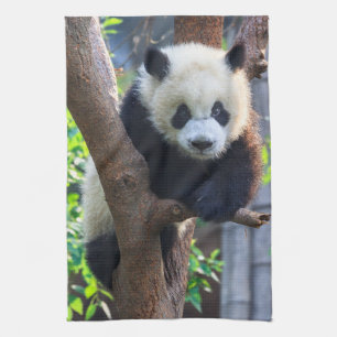 Cutest Baby Animals   Giant Panda Cub Kitchen Towel