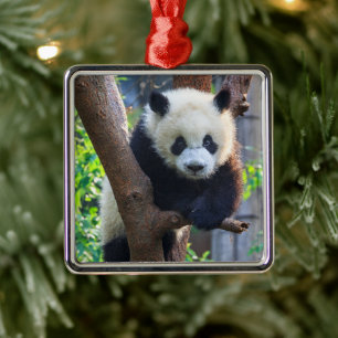 Cutest Baby Animals   Giant Panda Cub Metal Ornament