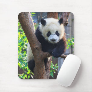 Cutest Baby Animals   Giant Panda Cub Mouse Pad