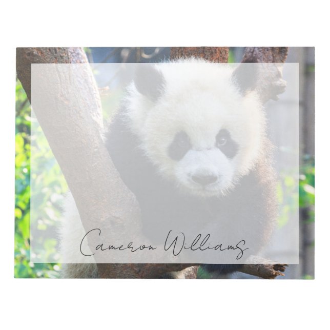Cutest Baby Animals | Giant Panda Cub Notepad (Front)