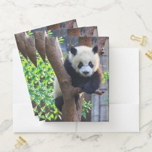 Cutest Baby Animals  Giant Panda Cub Pocket Folder