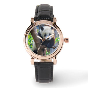 Cutest Baby Animals Giant Panda Cub Watch