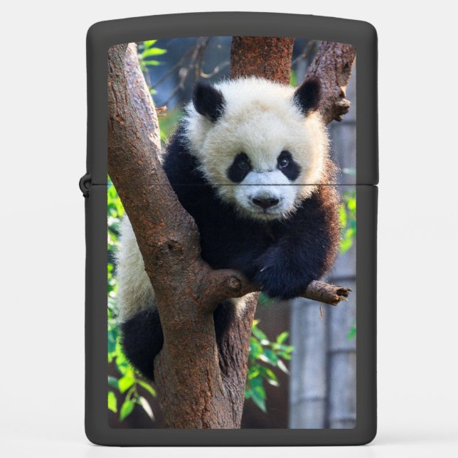Cutest Baby Animals | Giant Panda Cub Zippo Lighter (Front)