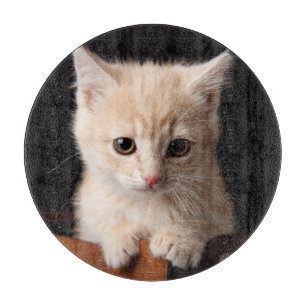 Cutest Baby Animals Ginger Kitten Cutting Board