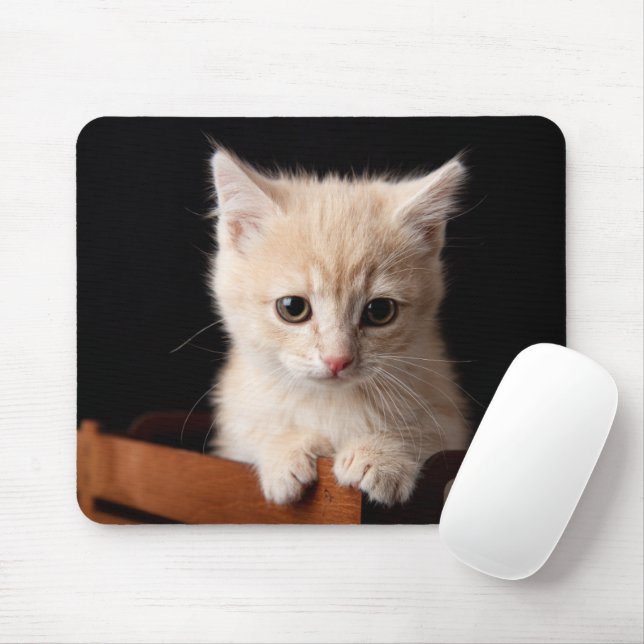 Cutest Baby Animals | Ginger Kitten Mouse Pad (With Mouse)
