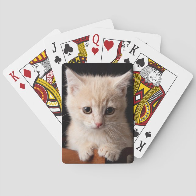 Cutest Baby Animals | Ginger Kitten Poker Cards (Back)
