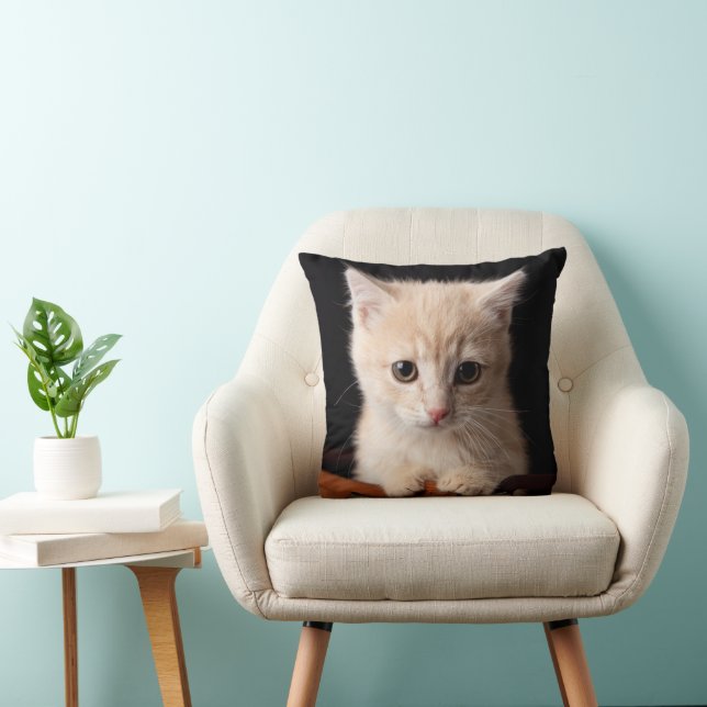 Cutest Baby Animals | Ginger Kitten Throw Pillow (Chair)