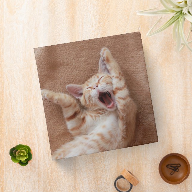 Cutest Baby Animals | Ginger Kitten Yawning 3 Ring Binder (In Situ)