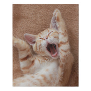 Cutest Baby Animals   Ginger Kitten Yawning Faux Canvas Print