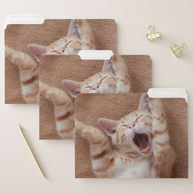 Cutest Baby Animals | Ginger Kitten Yawning File Folder (Set)