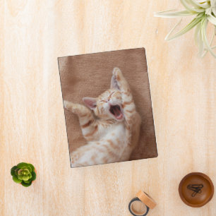Cutest Baby Animals   Ginger Kitten Yawning Mini Binder
