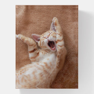 Cutest Baby Animals Ginger Kitten Yawning Paperweight
