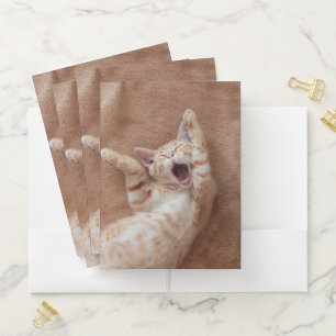 Cutest Baby Animals Ginger Kitten Yawning Pocket Folder