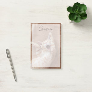 Cutest Baby Animals Ginger Kitten Yawning Post-it Notes