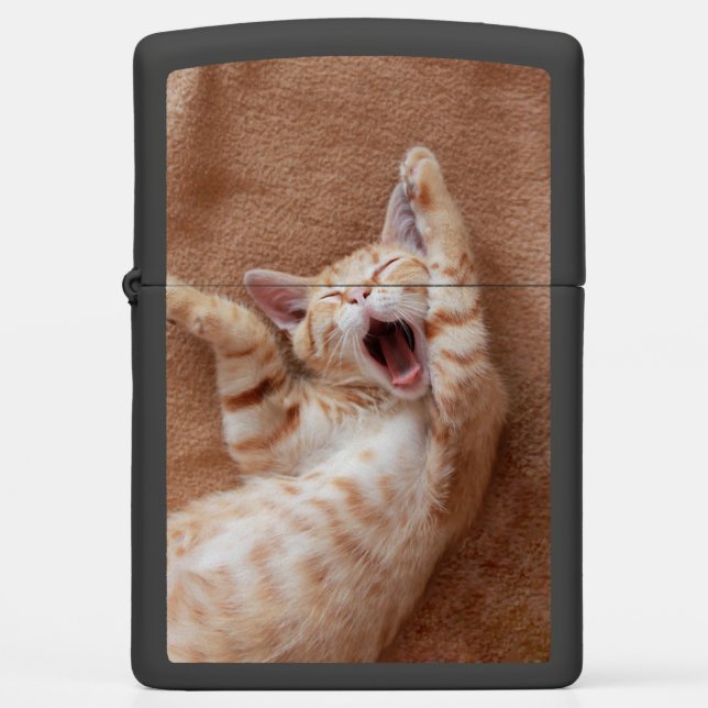 Cutest Baby Animals | Ginger Kitten Yawning Zippo Lighter (Front)