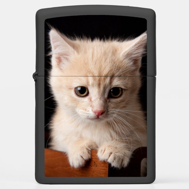 Cutest Baby Animals | Ginger Kitten Zippo Lighter (Front)